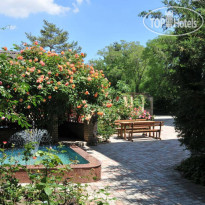 Международный 