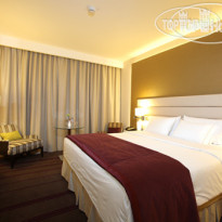 Сафмар Палас Москва 