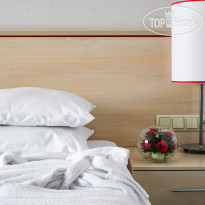 Intourist Hotel Kolomenskoe