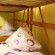 Metro Hostel 