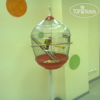 Yum-Yum Hostel