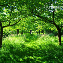 Green Garden