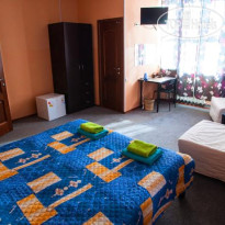 Mini Hotel Aviamotornaya