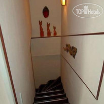Argus-Hotel Лестница в отеле