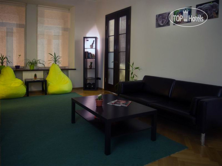 New photos from tourists Koala Hostel