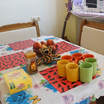 Kind Cat Hostel 