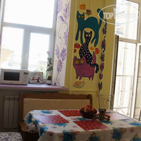 Kind Cat Hostel 