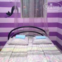 Kind Cat Hostel 