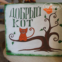 Kind Cat Hostel 
