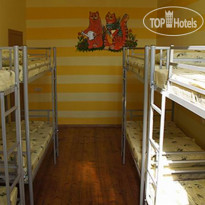 Kind Cat Hostel 
