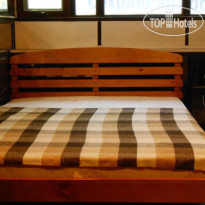 Cactus Hostel 