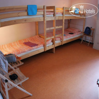 Safari Hostel Номер
