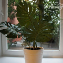 Fresh Hostel Arbat (Фреш Хостел Арбат) 