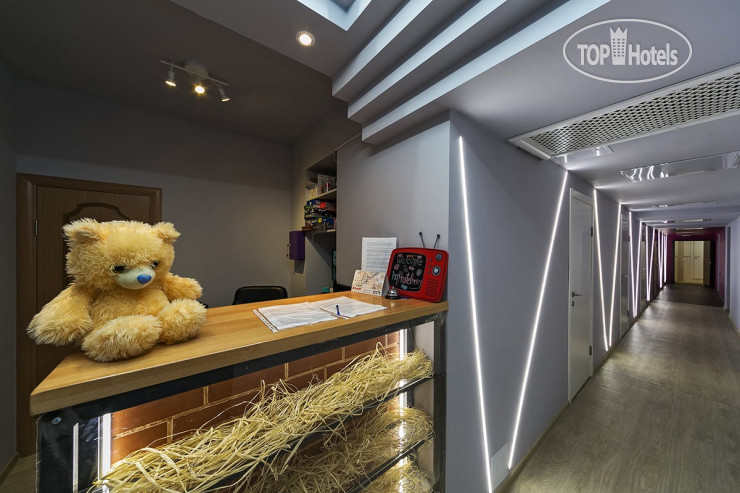 Hotelier's photos HQ Hostelberry