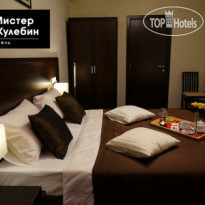 Мистер Жулебин