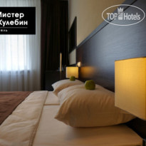 Мистер Жулебин