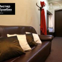 Мистер Жулебин