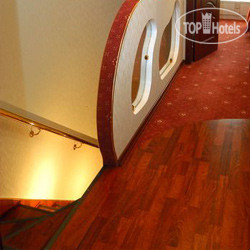 Международная