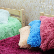 Camel Hostel 