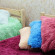 Camel Hostel 