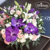 Plus 1 Hotel