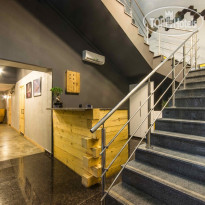 Coworking Hostel Tree