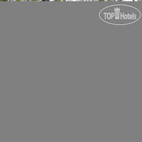 Лось Летние веранды