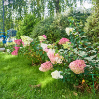 Satelinn Moscow Khovrino