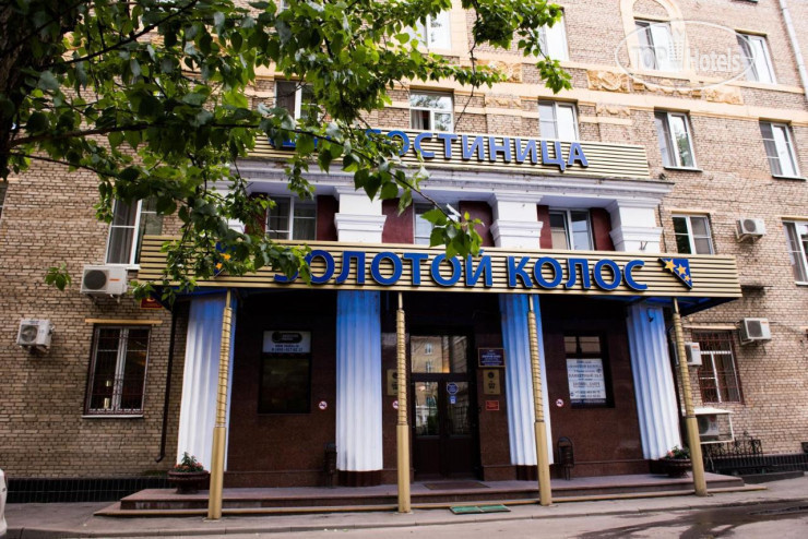 Photos Золотой колос