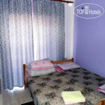 Elena guest house Полулюкс