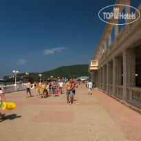 Альбатрос 