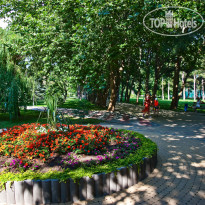 Голубая волна Платановая аллея