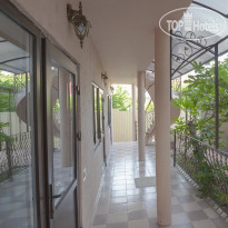 Виноградная Лестница 