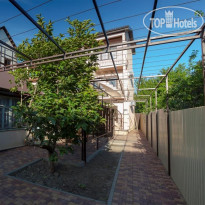 Виноградная Лестница 