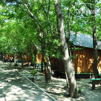 Лесник 