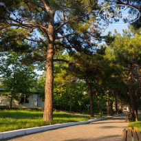 Orchestra Horizont Gelendzhik Resort (Оркестра Горизонт) 