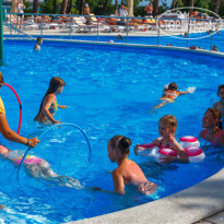 Приветливый берег 