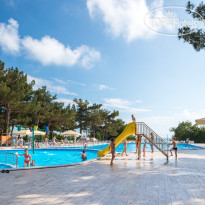 Приветливый берег 