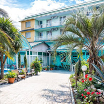 Зеленый Попугай 