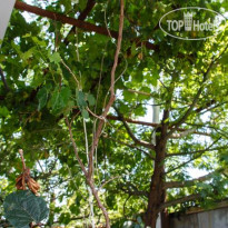 Сочи Олимпик Вилла 