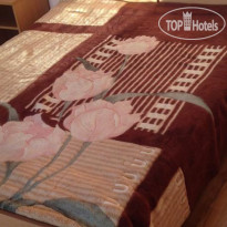 Ella Guest House 
