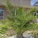 Ella Guest House 