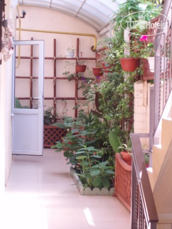 New photos from tourists AdlerOK 