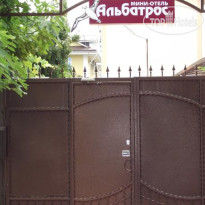 Альбатрос