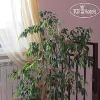 Черноморская Жемчужина (закрыт)