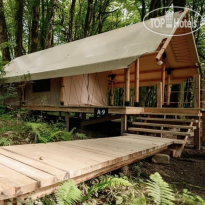 Лучшее Место Глэмпинг 