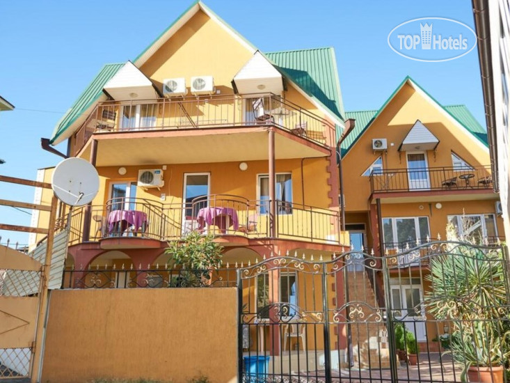 New photos from tourists With dolphins Guest house