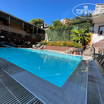 Азалия-Мимоза 