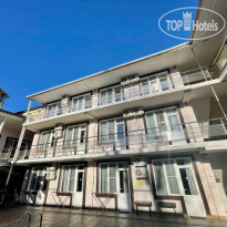 Азалия-Мимоза 