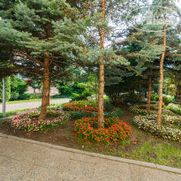 Санаторий Надежда 